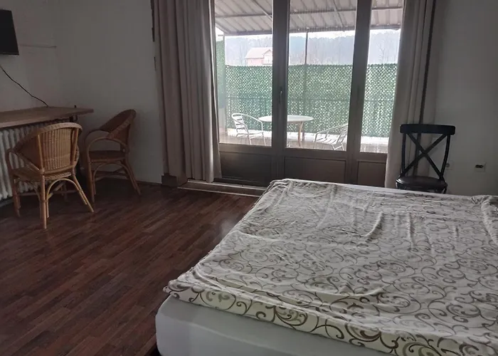 Apartment Petra Šabac